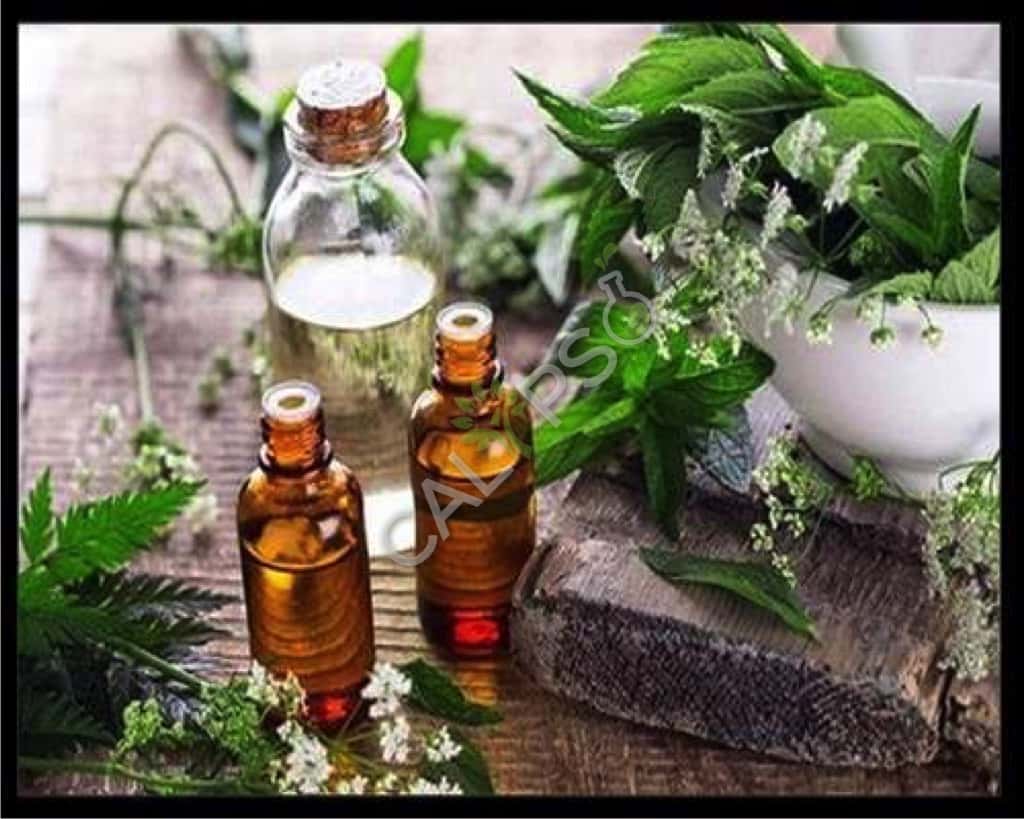TEA Negro Floral Absolute Beneficio de aceite